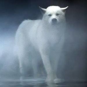 Meet your Posher, Rick